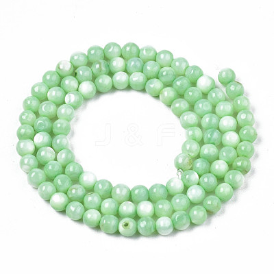Natural Freshwater Shell Beads Strands SHEL-N003-24-B03-1