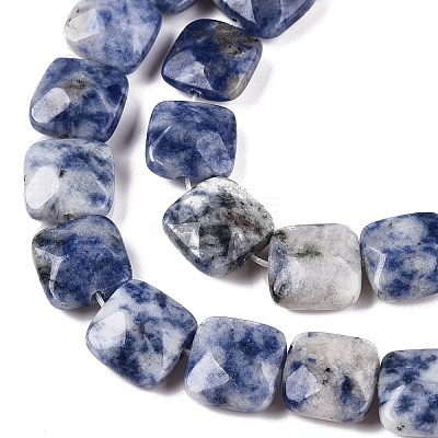 Natural Blue Spot Jasper Beads Strands G-T138-172-1