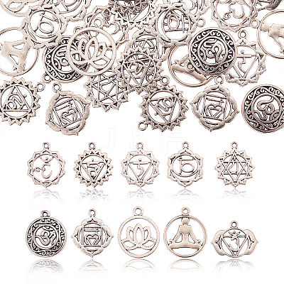 100Pcs 10 Styles Tibetan Style Alloy Pendants TIBEP-CJ0001-50-1