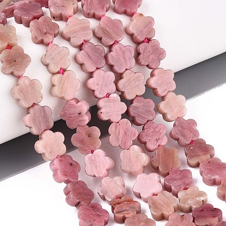 Natural Rhodonite Beads Strands G-N257-24A-09-1