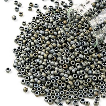 TOHO 8/0 Round Beads SEED-TR08-0613-1