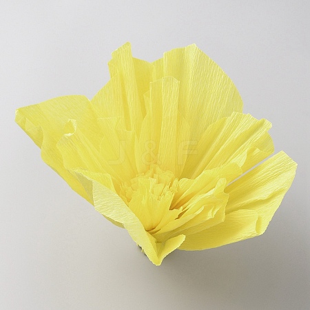 Crepe Paper Flowers Decoration for Wall AJEW-WH0415-43B-06-1