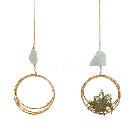 2Pcs Iron Plant Hanger HJEW-OC00164-1