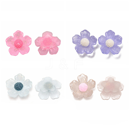 Transparent Resin Cabochons RESI-CJC0013-04-1