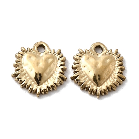 304 Stainless Steel Charms STAS-A127-02G-1