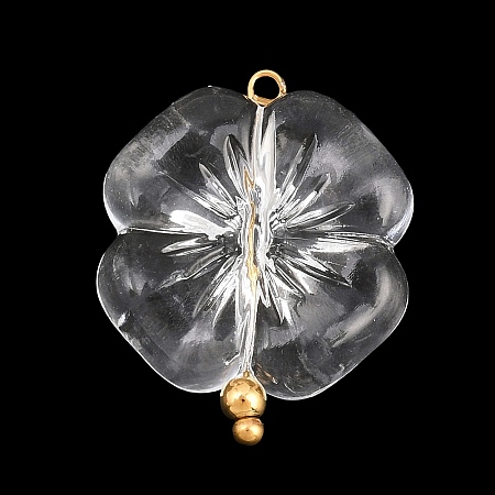 Transparent Acrylic & Stainless Steel Pendants TACR-G051-01G-02-1