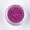12/0 Grade A Round Glass Seed Beads X-SEED-N001-D-10/207-2