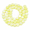 Freshwater Shell Beads Strands SHEL-T009-B16-01-2