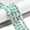 Natural Amazonite Beads Strands G-C179-J01-01-1