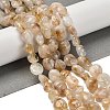 Natural Yellow Lodolite Quartz Beads Strands G-P497-01E-39B-2