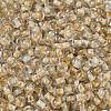 Transparent Inside Colours Glass Seed Beads X1-SEED-A032-04V-3