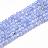 Natural Freshwater Shell Beads Strands X-BSHE-T009-01B-1