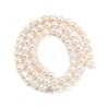 Natural Cultured Freshwater Pearl Beads Strands PEAR-P064-19D-07A-3