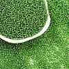 12/0 Grade A Round Glass Seed Beads SEED-Q007-F49-2