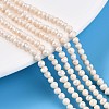 Natural Cultured Freshwater Pearl Beads Strands PEAR-N013-03D-01-2