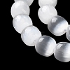 Natural Selenite Beads Strands G-B103-A01-06-3