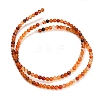 Natural Agate Beads Strands G-Z116-A06-3mm-3