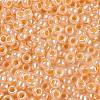 TOHO Round Seed Beads SEED-TR08-0904-2