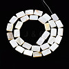 Natural Freshwater Shell Beads Strands SHEL-Q024-013-2