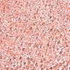 6/0 Baking Paint Transparent Fringe Glass Seed Beads X1-SEED-N006-06E-3