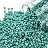 TOHO 11/0 Round Beads X-SEED-TR11-0055F-1