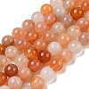 Natural Red Agate Beads Strands G-A248-A06-05-1