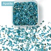 60G(672pcs) Natural Apatite Chip Beads G-YW0001-83-1