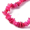 Natural Freshwater Shell Beads Strands BSHE-I016-01G-3