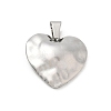304 Stainless Steel Pendants SA-CBA34D4-01C-P-1