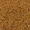 MIYUKI Round Rocailles Beads SEED-G007-RR0004-3