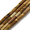 Natural Picture Jasper Beads Strands G-D464-20-1