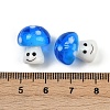 Handmade Lampwork Beads LAMP-B028-06C-3