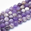 Natural Amethyst Beads Strands G-K256-52-8mm-1