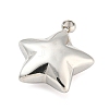 Non-Tarnish 304 Stainless Steel Charms X-STAS-P333-08P-2