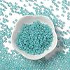 Glass Seed Beads X1-SEED-H002-E-A1419-2