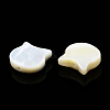 Natural White Shell Beads SSHEL-N034-124B-4