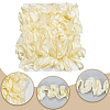 5 Yards Polyester Satin Chiffon Wavy Lace OCOR-CY0001-66B-5