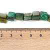 Dyed Natural Freshwater Shell Beads Strands SHEL-P016-01I-4