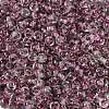 Transparent Inside Colours Glass Seed Beads SEED-A032-04L-3
