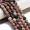 Frosted Natural Petrified Wood Round Bead Strands G-F266-07-8mm-01-5