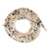 Natural Rutilated Quartz Beads Strands G-G139-A01-01-3