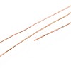 10M 304 Stainless Steel Wire TWIR-N005-0.4mm-RG-2
