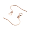 304 Stainless Steel Earring Hooks STAS-E484-55RG-2