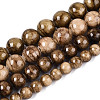 Natural Persian Jade Beads Strands X-G-A255-A02-04E-4