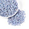 6/0 Glass Seed Beads SEED-N008-07B-1