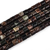 Natural Biotite Beads Strands G-T141-88B-4