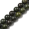 Natural African Green Autumn Jasper Beads Strands G-R494-A19-03-1