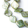 Natural Sea Shell Beads S00EA041-2