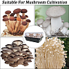 Cotton Planting Supplies Filter Pad for Mushroom AJEW-WH20019-92-5
