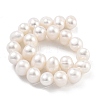 Natural Cultured Freshwater Pearl Beads Strands PEAR-C003-16C-3